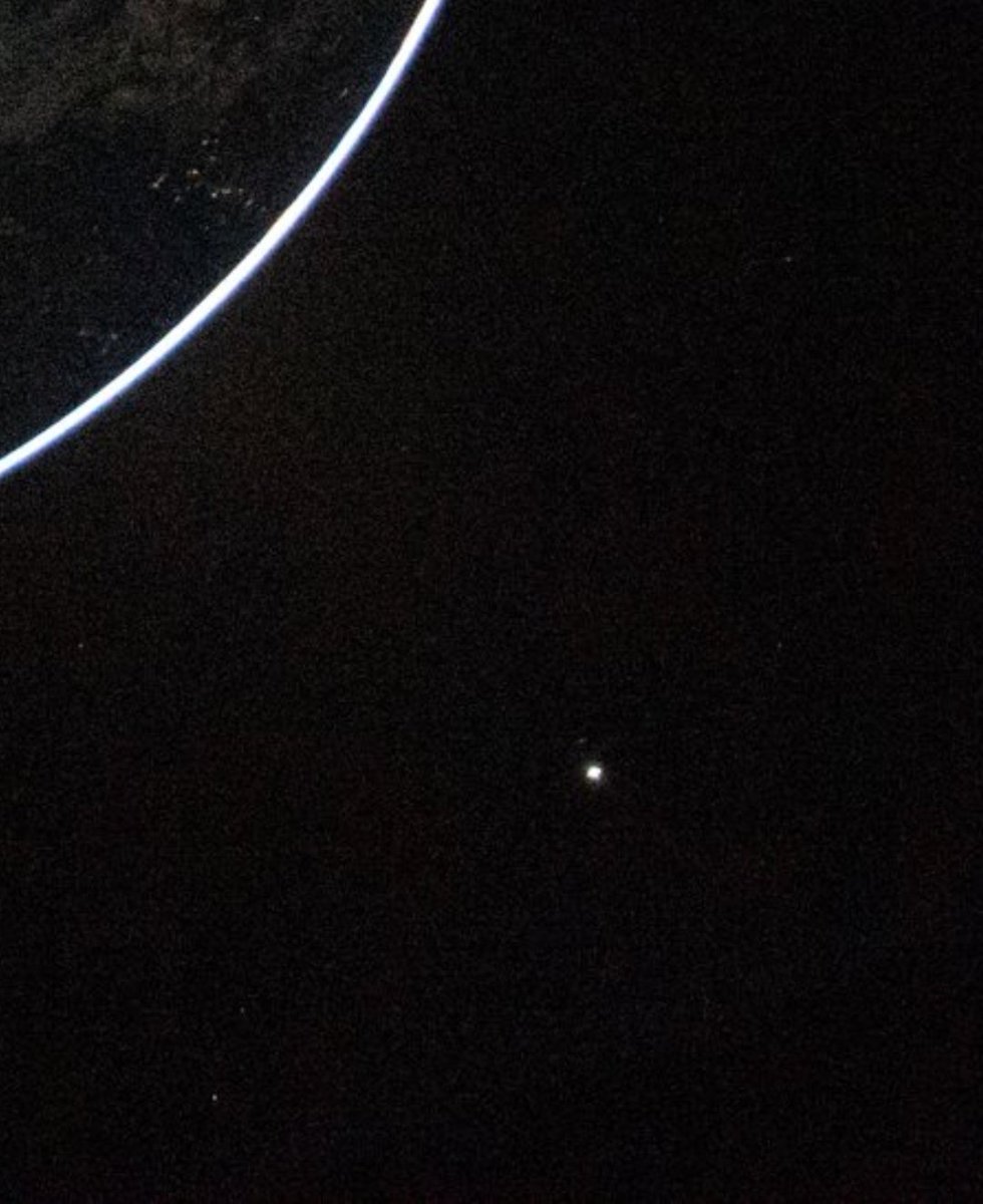 Planarwalk, legally enby 🏳️‍⚧️ tweet media