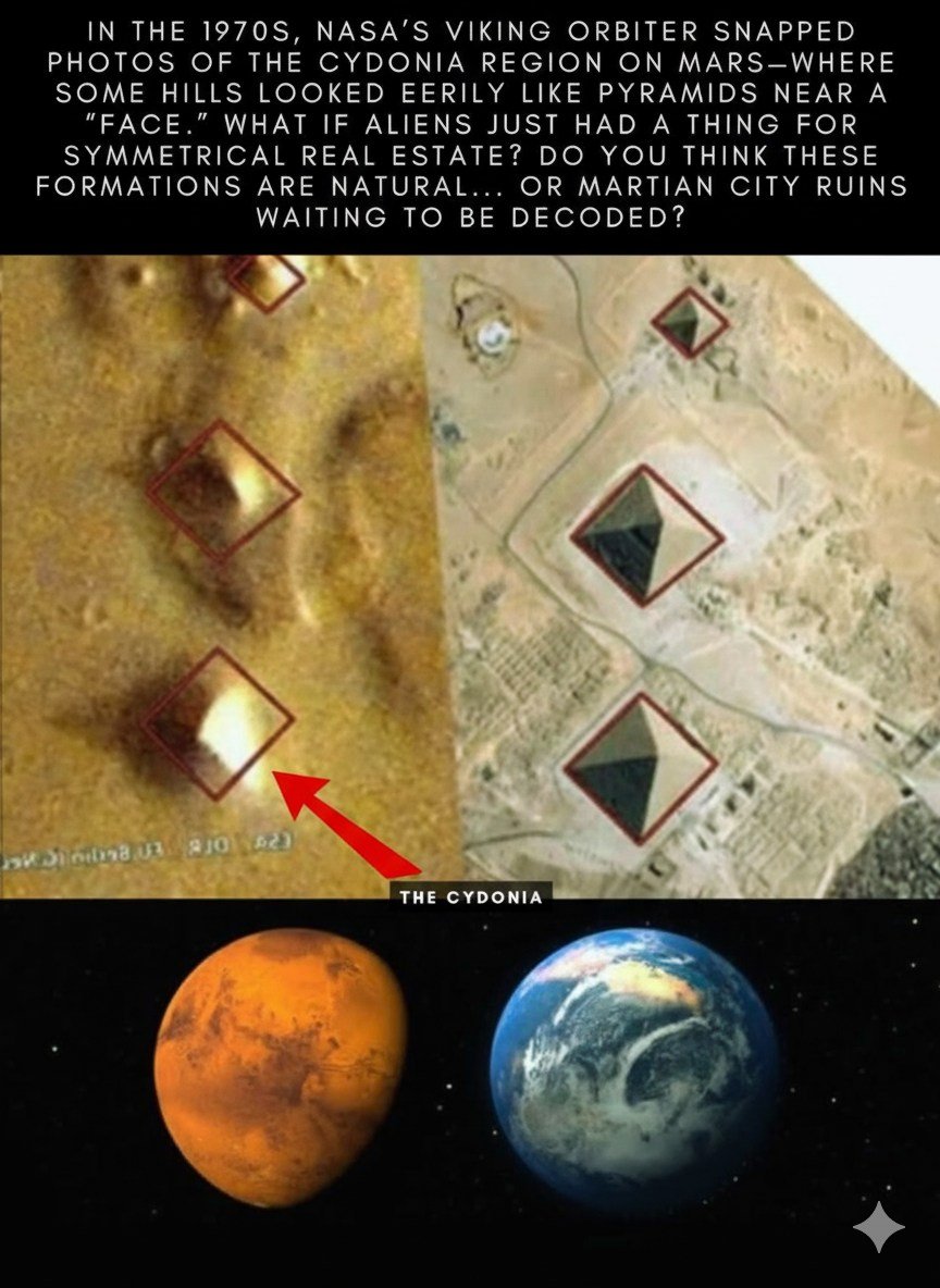 Ant with An internet Connection tweet media