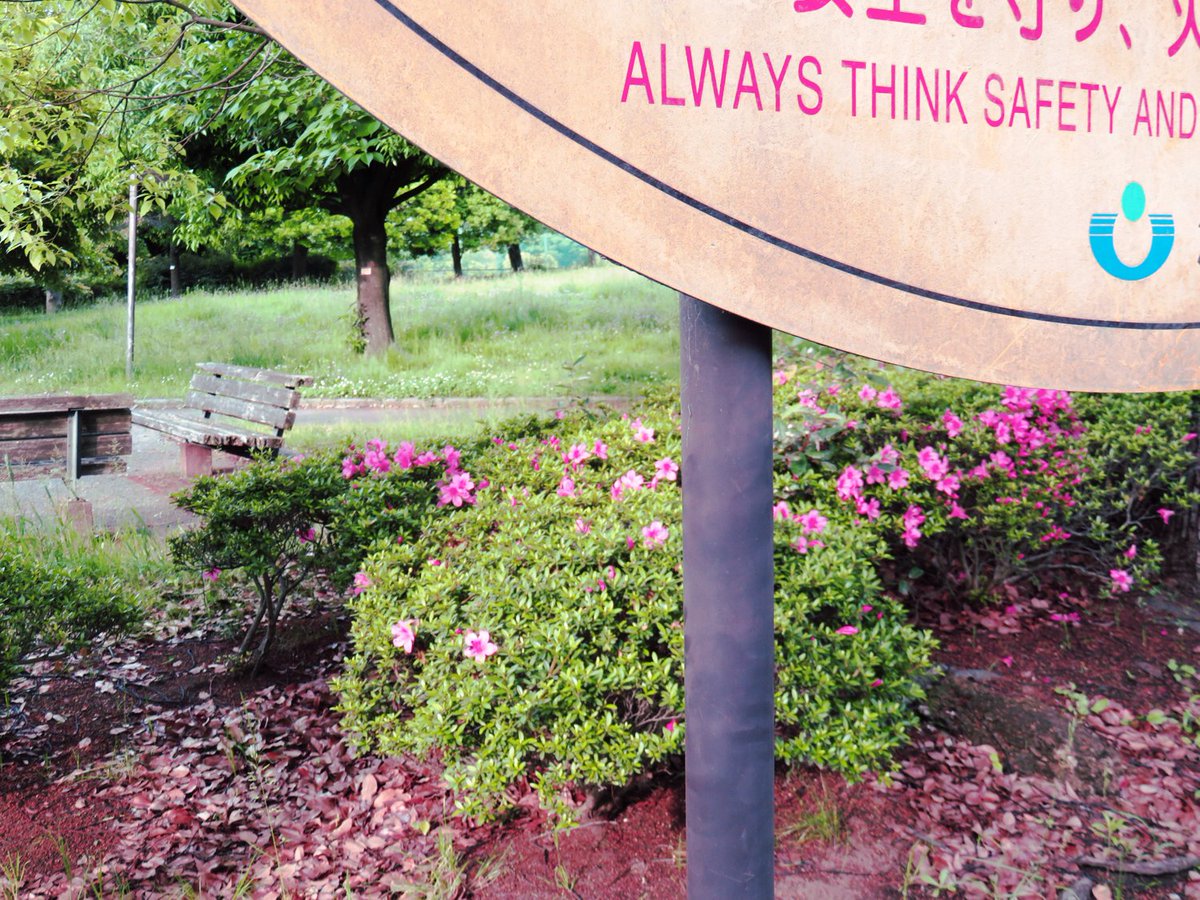 トマトスター tomato star tweet media