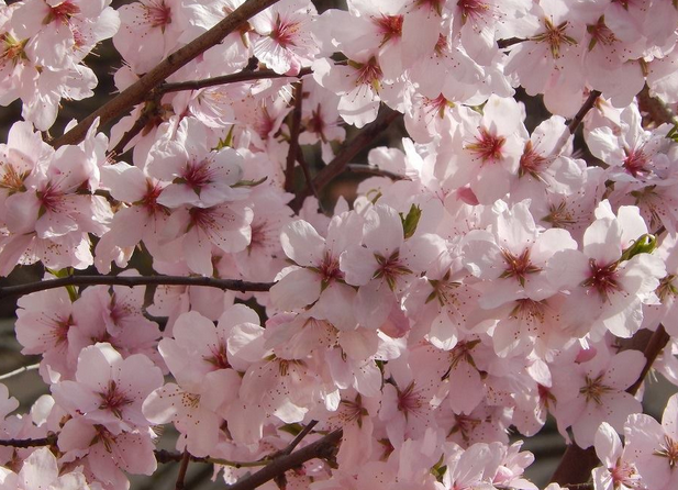 mrkarlchen tweet media