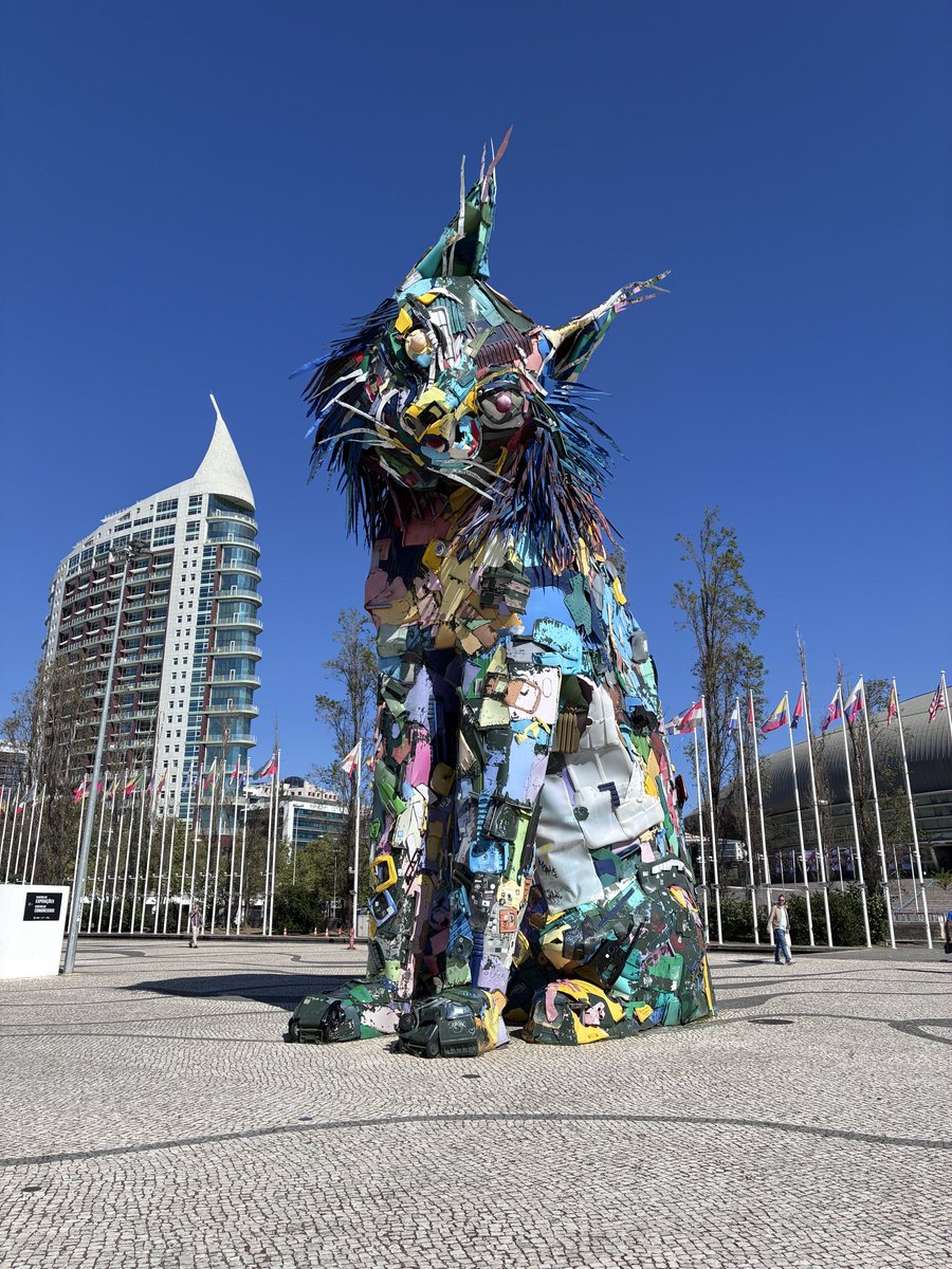 The free soul samurai tweet media