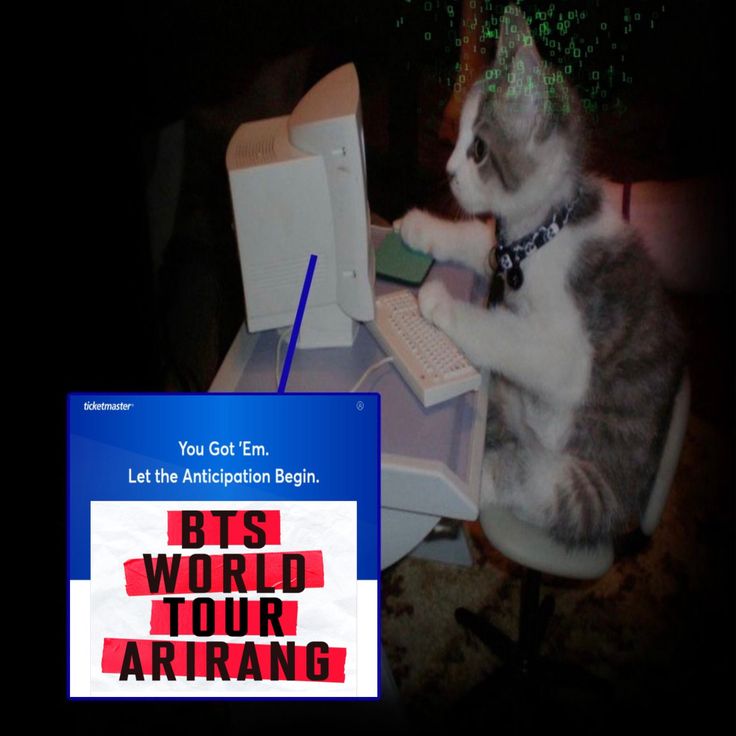 Kiki's⁷ VA A VER A BTS tweet media