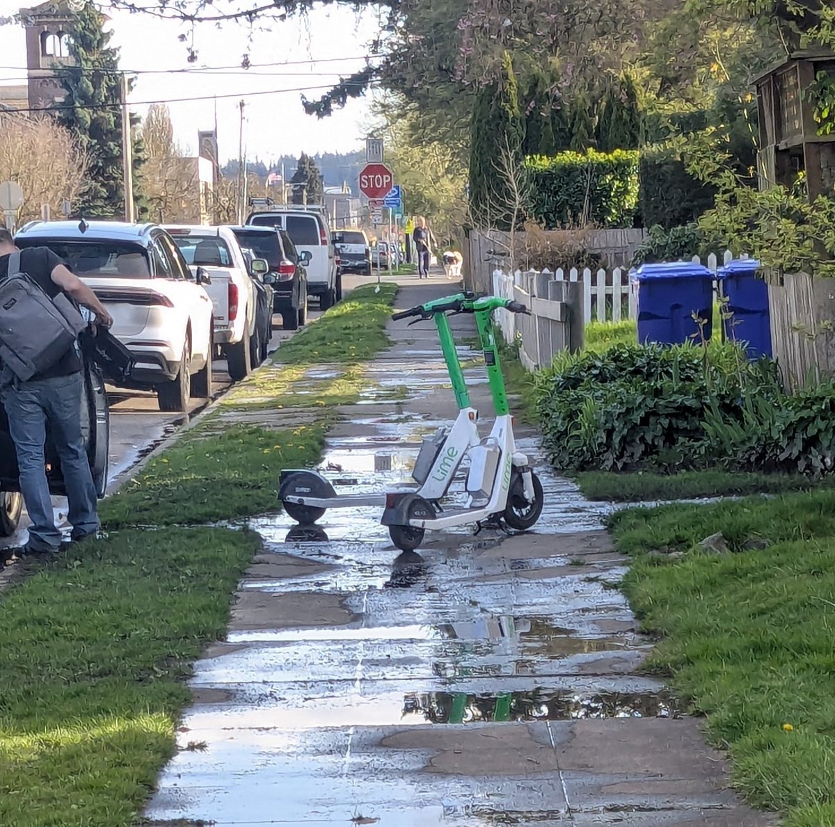 Moon Priestess Aurora 🌕🏳️‍⚧️ tweet media