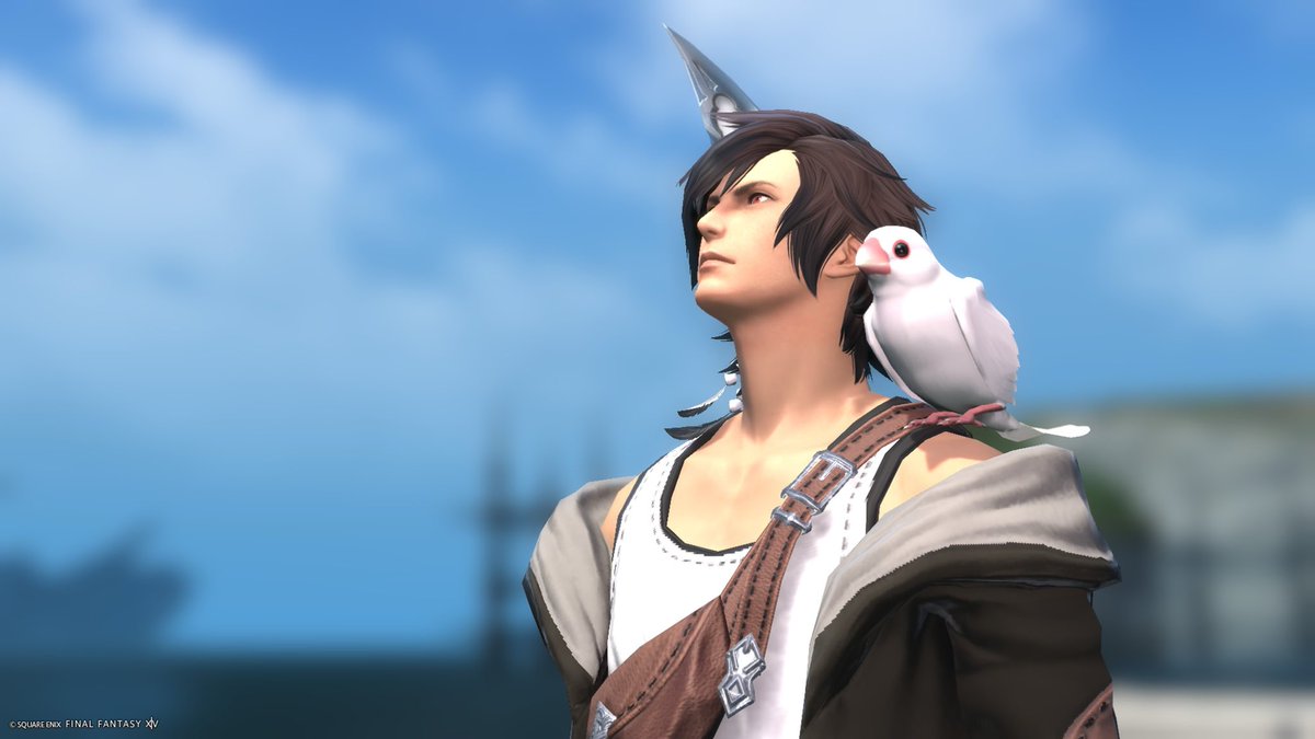 🌱しお tweet media