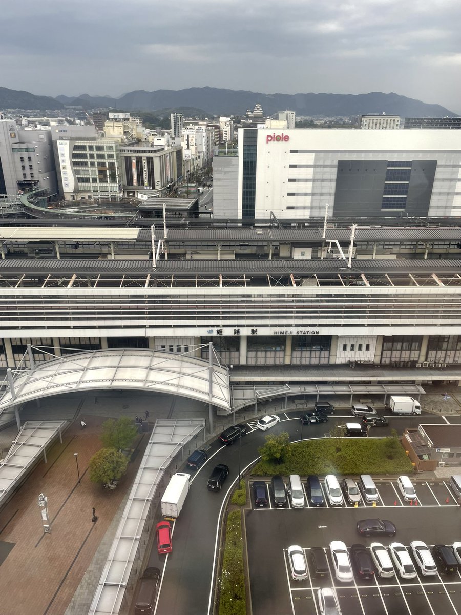 ハロ⭐︎ぴゅあしゅがー tweet media