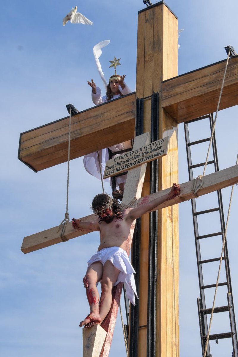 El Universal tweet media