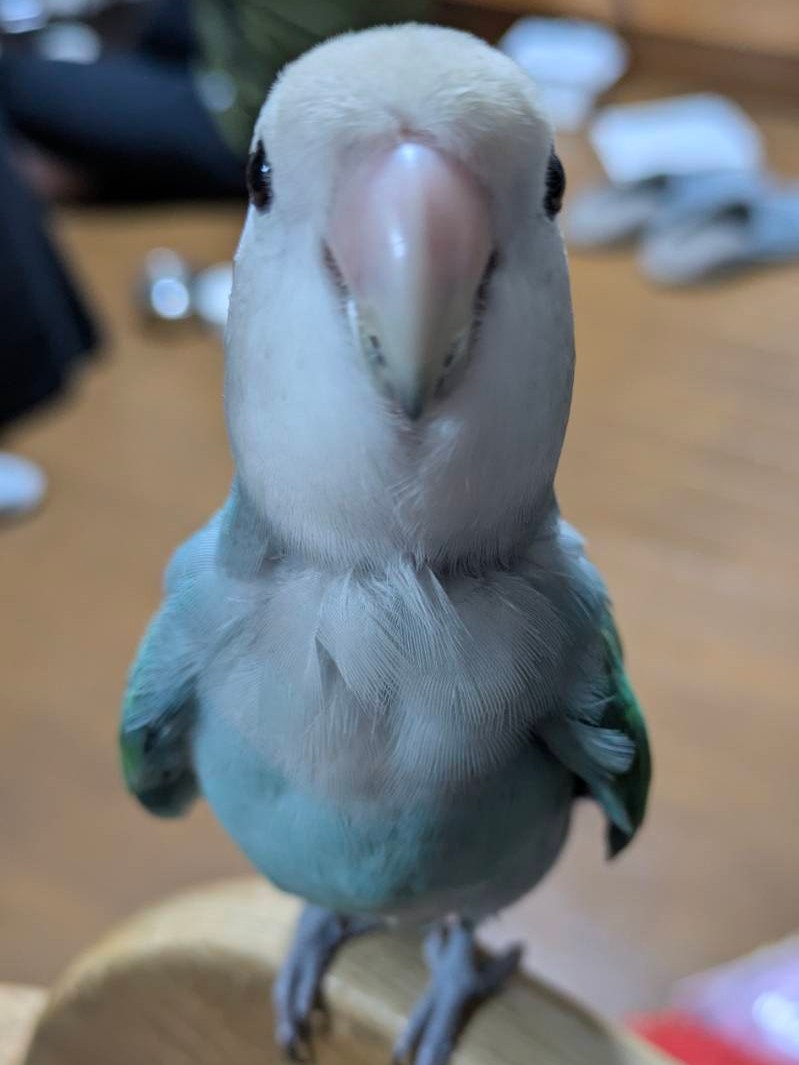 家の中に宇宙人いたね