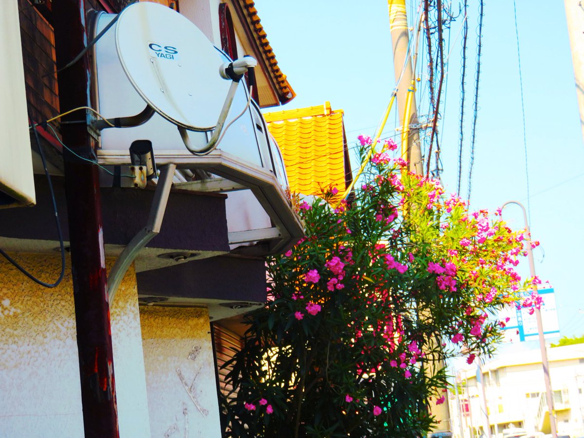 トマトスター tomato star tweet media