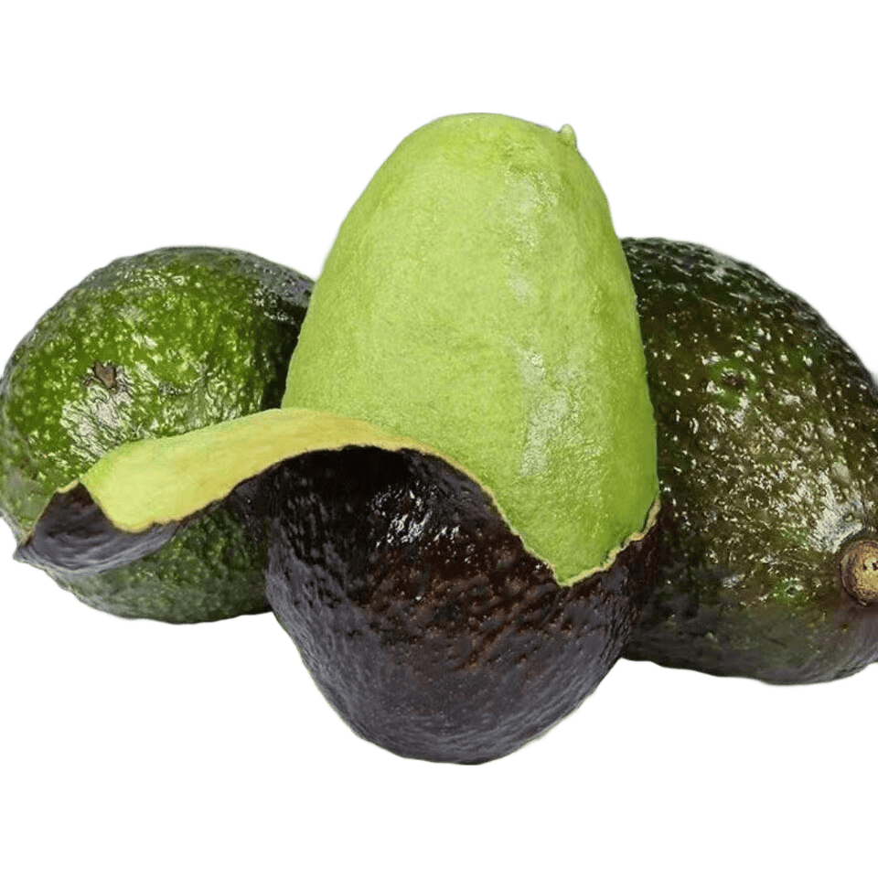 cocoxcocoa's tweet photo. " Fresh Mexican Hass Avocados (10pcs) Test: Creamy texture, zero browning in 4h! Perfect for guac or toast. Price: $12.99. Pro tip: Store with lemon in airtight bag. #AvocadoTest #FreshProduce" https://t.co/1080Mmf4tL
