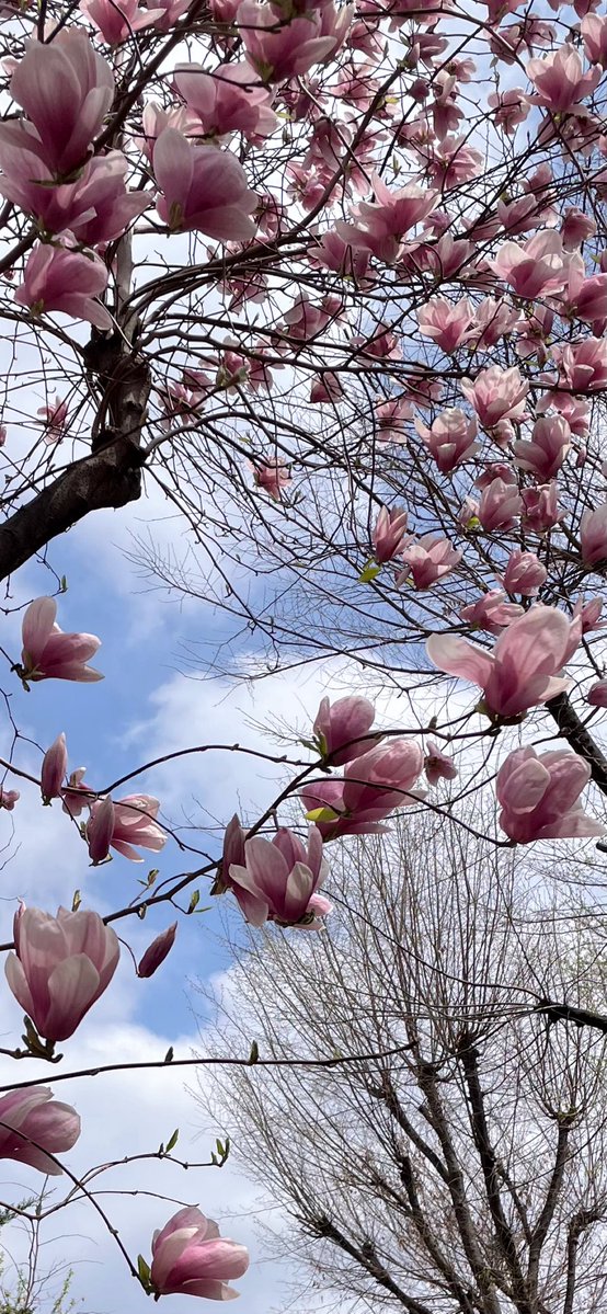 허제리 tweet media