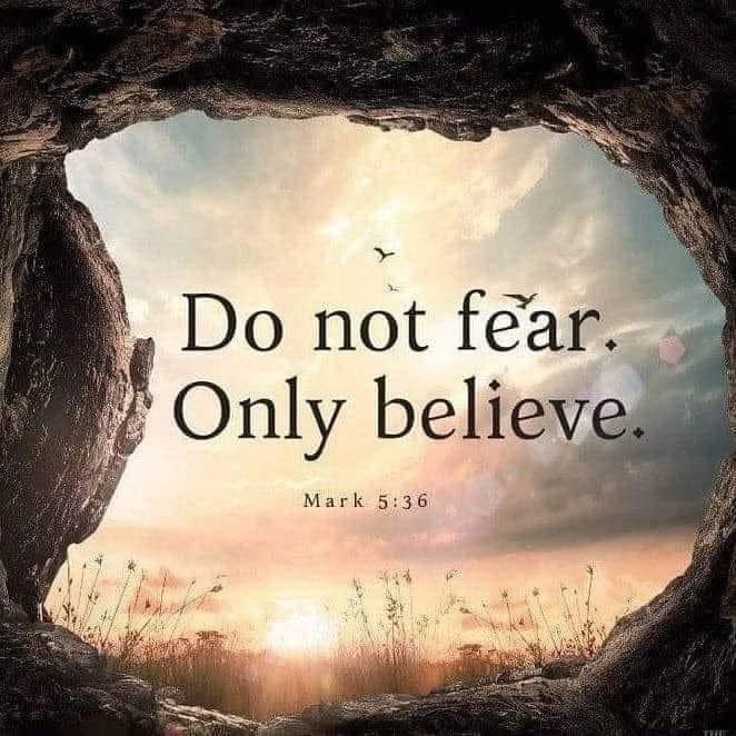 Warriortotruth's tweet image. #FearNot #Believe 🙌👑✝️🕊️