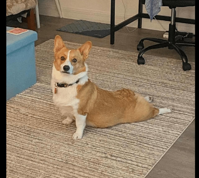 Rika Blank tweet media