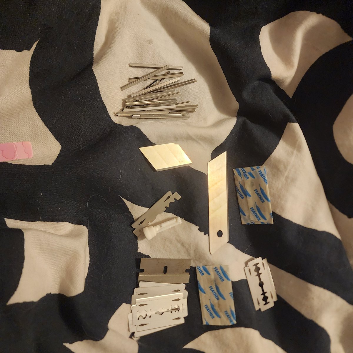 Amo of shedtwt tweet media