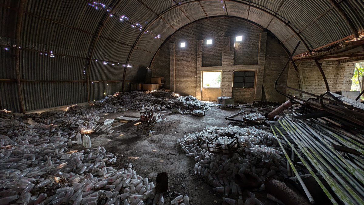 Tom Grundy tweet media