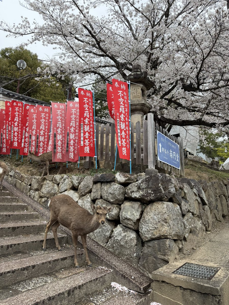 K Hishikawa tweet media