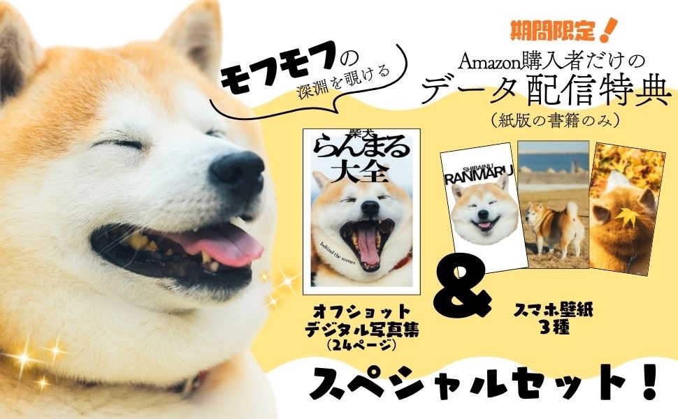 ワニブックス広報宣伝部 tweet media