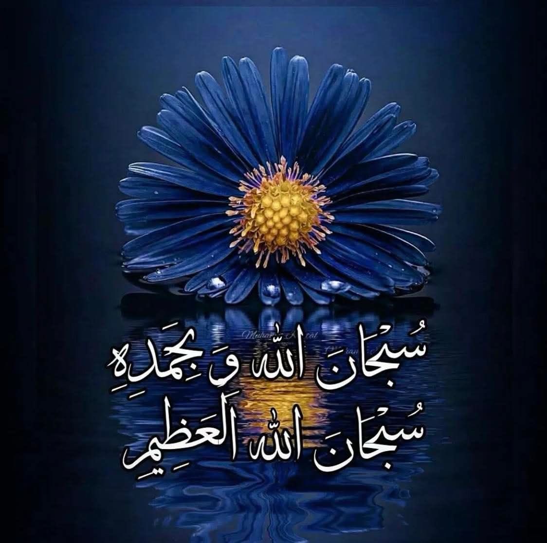 ⚪️ع العساف ⚪️ tweet media