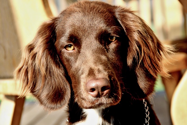 Sheneka Cooper tweet media