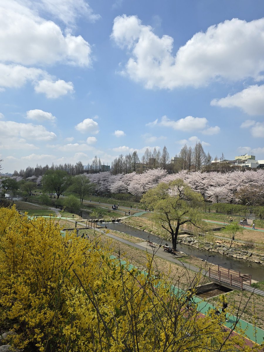 부끄부끄 tweet media