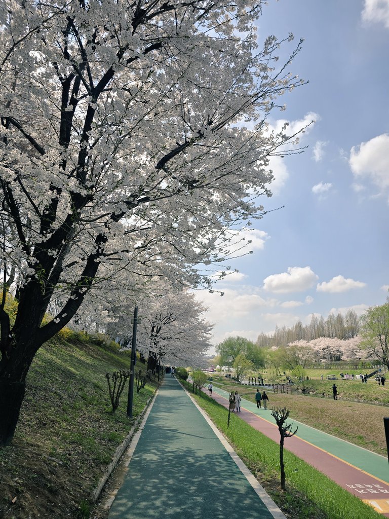 부끄부끄 tweet media