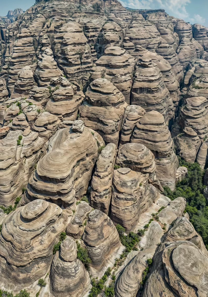 المملكة tweet media