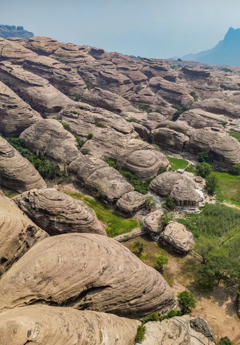 المملكة tweet media