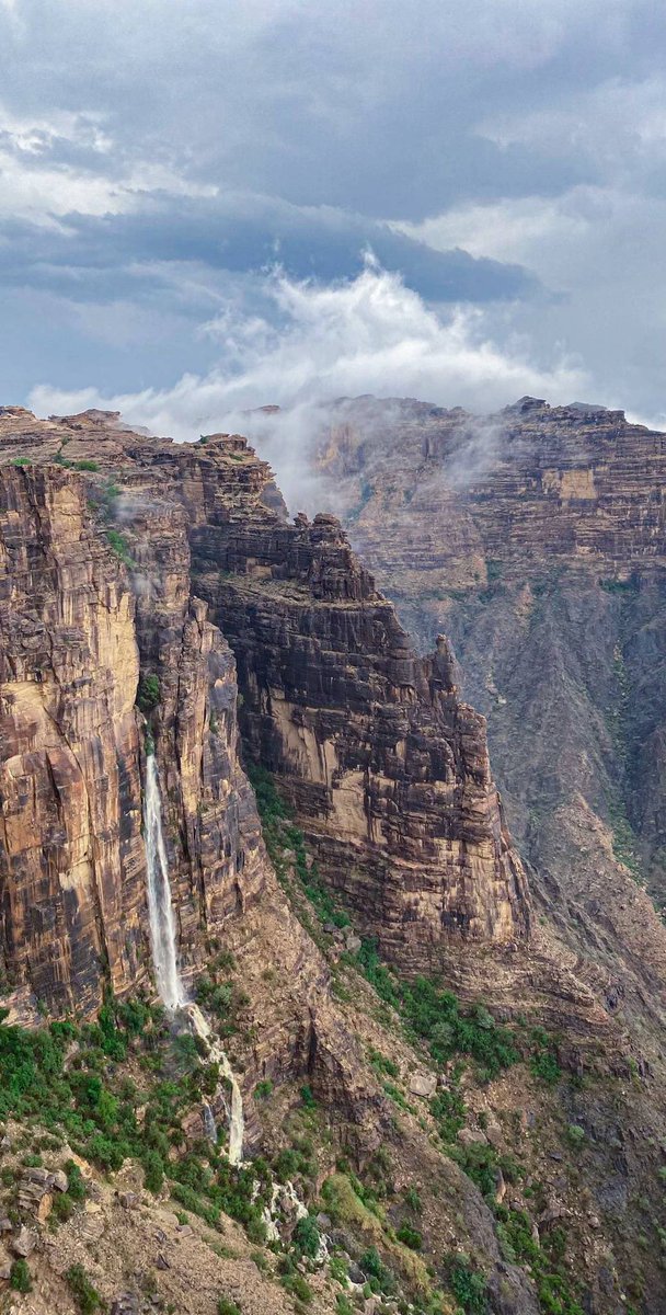 المملكة tweet media