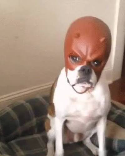 StayBelligerent tweet media