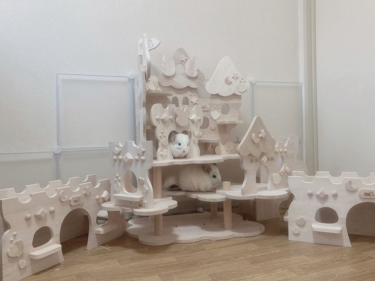 チンチラすき tweet media