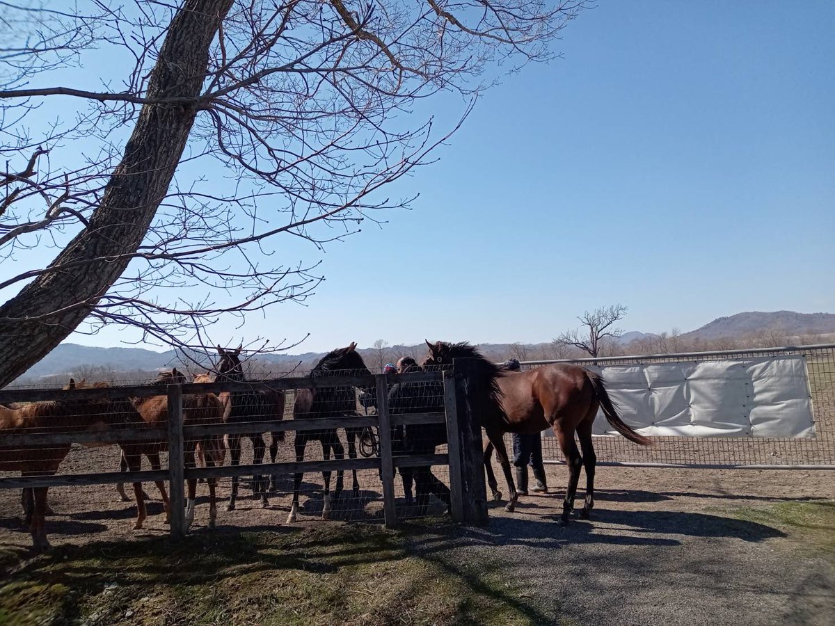 ユニオンオーナーズクラブ公式 tweet media