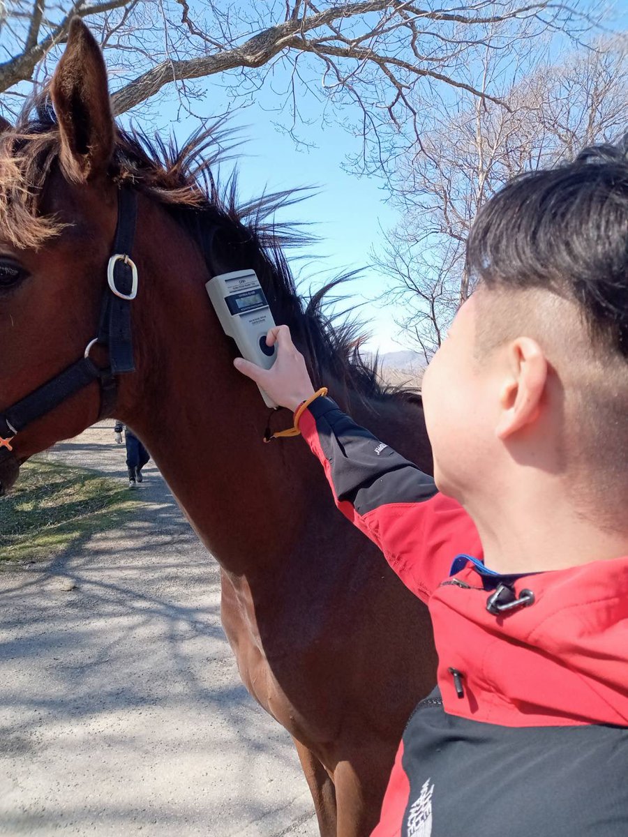 ユニオンオーナーズクラブ公式 tweet media