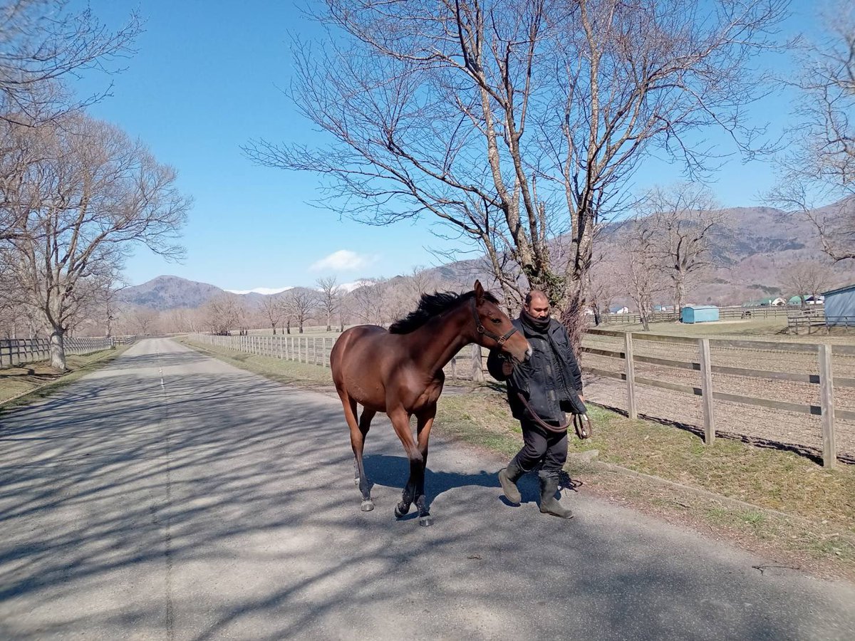 ユニオンオーナーズクラブ公式 tweet media