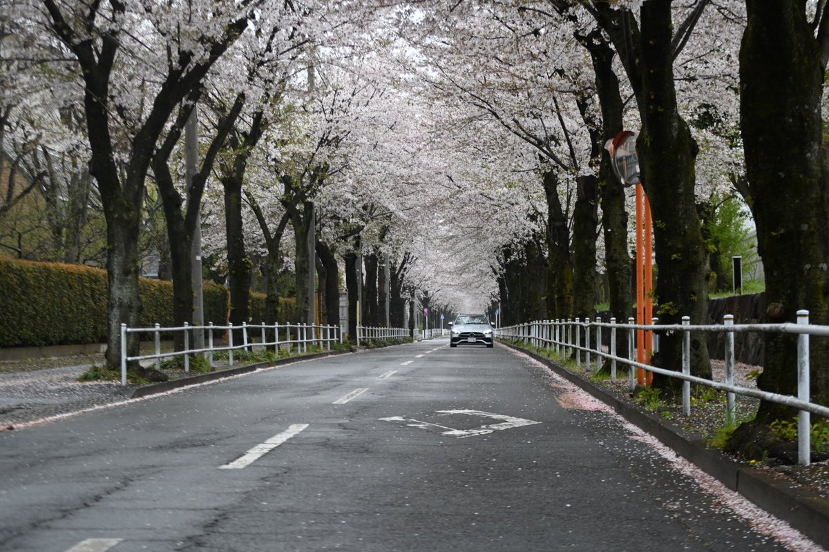 бла kg tweet media