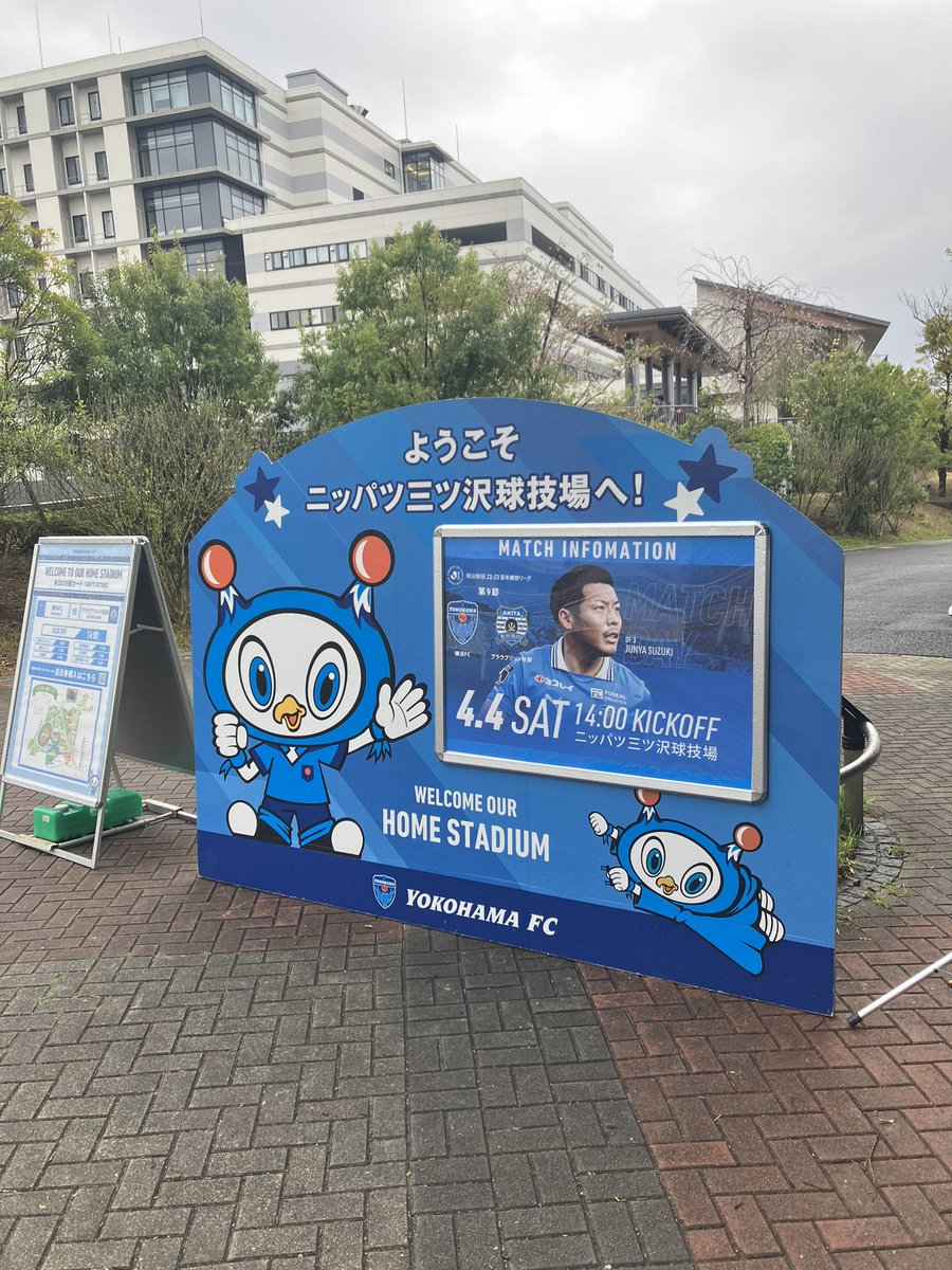 店員K🐻‍❄️ tweet media