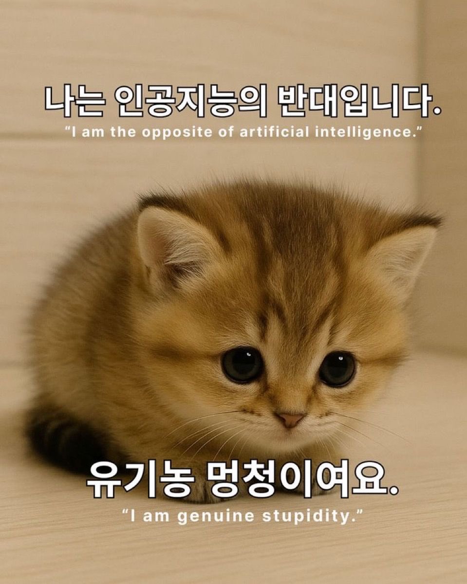 오프더레코드 tweet media