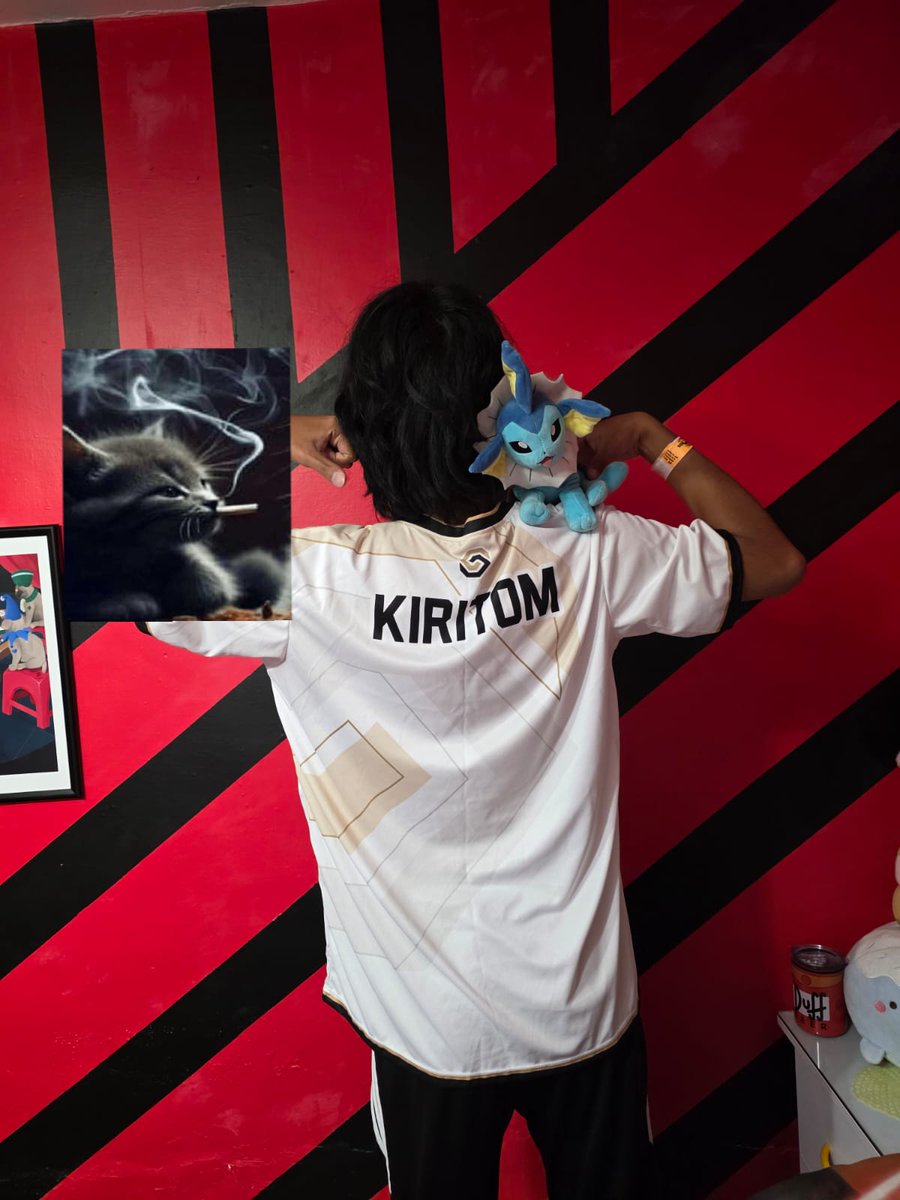 Kirito3ds 💜 tweet media