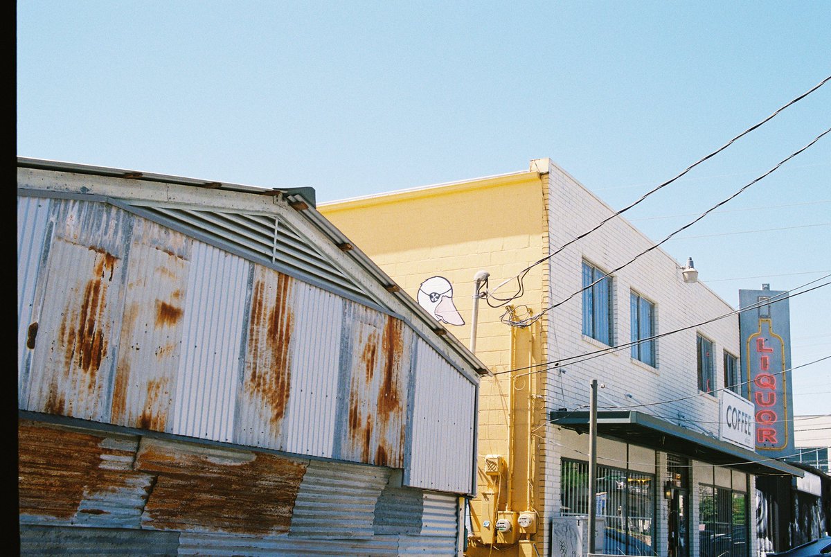 zuikatsu tweet media