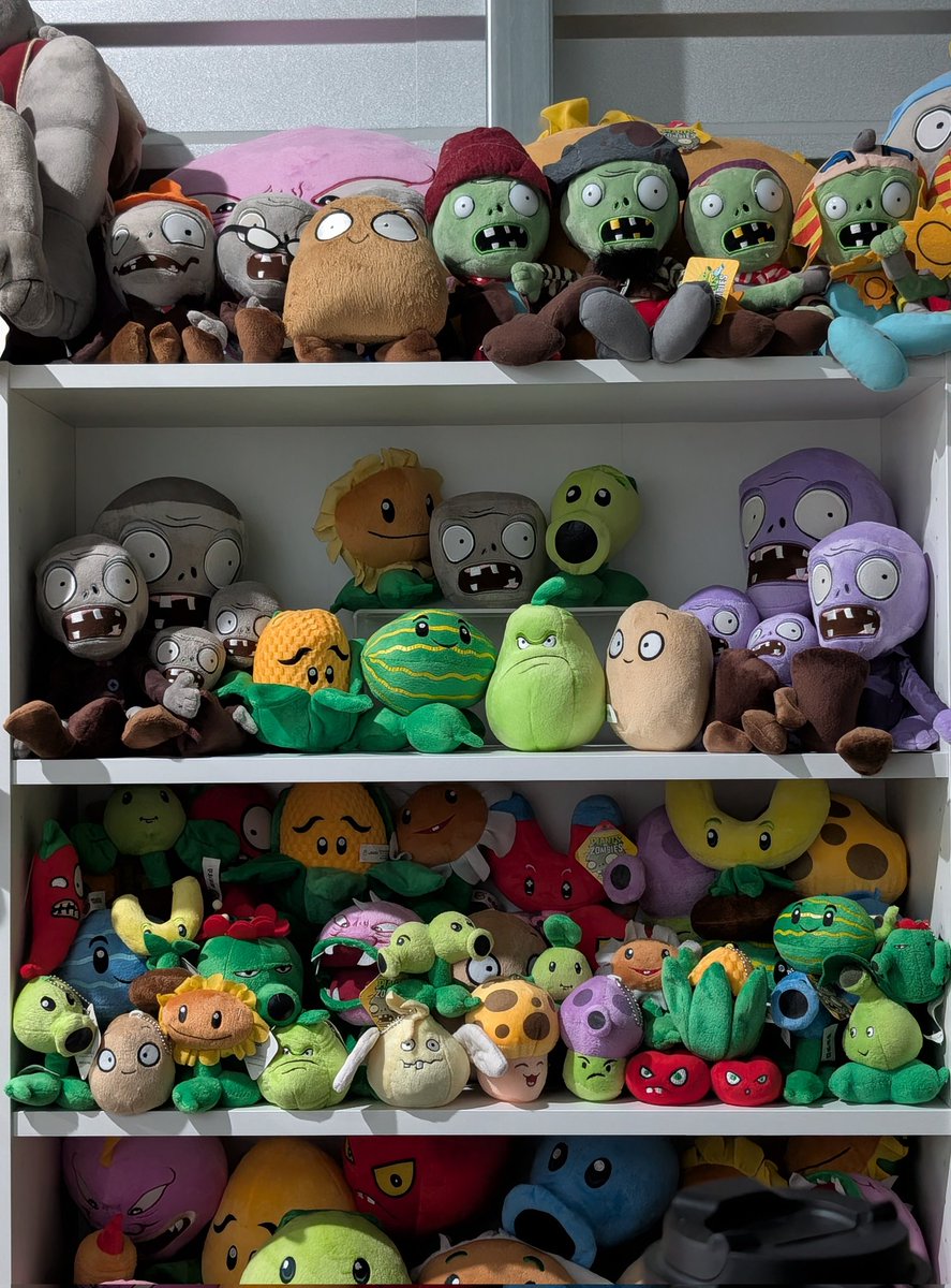 Inu's Collector Archive tweet media