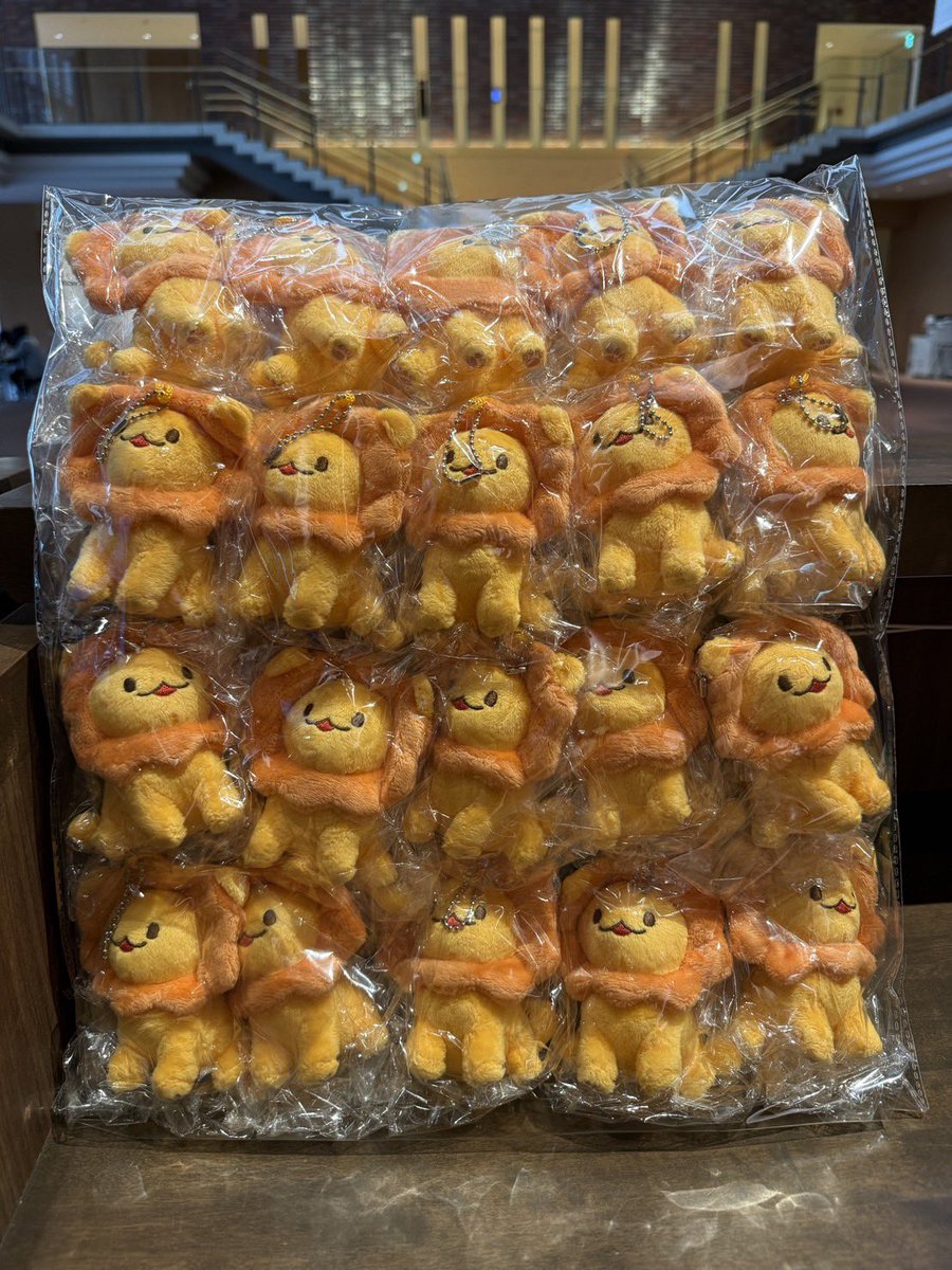 開けたらCuteな背中が。笑

わ！はじめましてっ🦁🫶