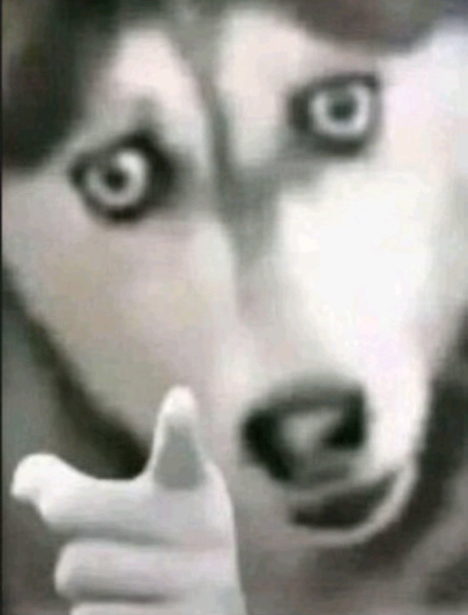 TheErrorboy🇨🇷 tweet media