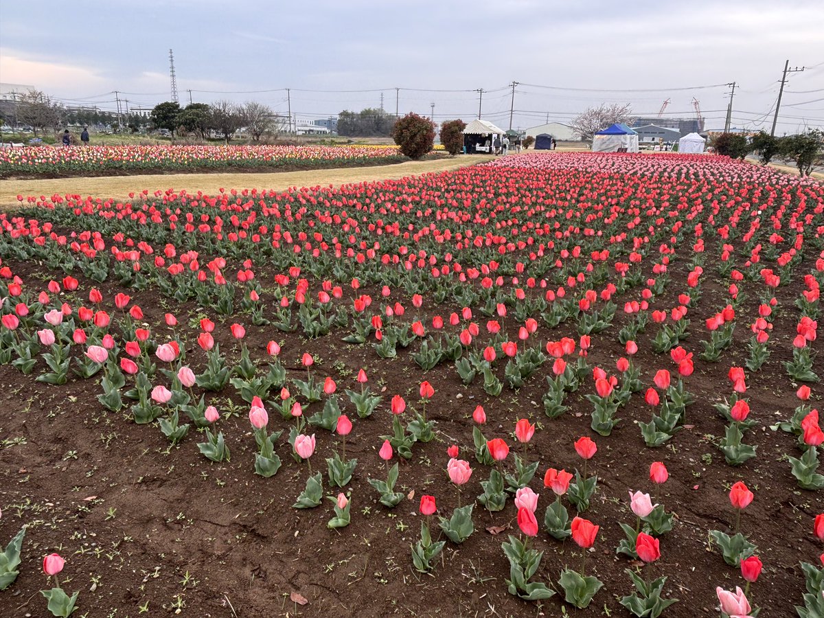 さいたぁマンワールド【公式】 tweet media