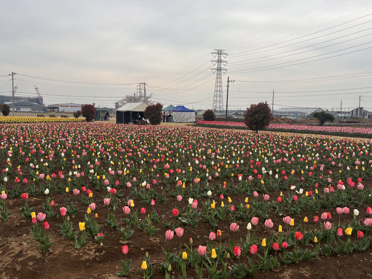 さいたぁマンワールド【公式】 tweet media