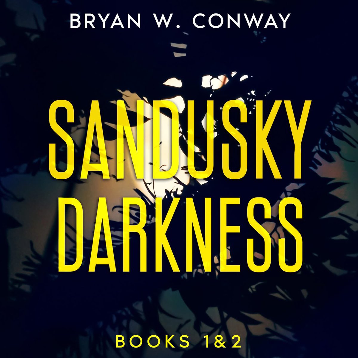 B.W. Conway | Author tweet media