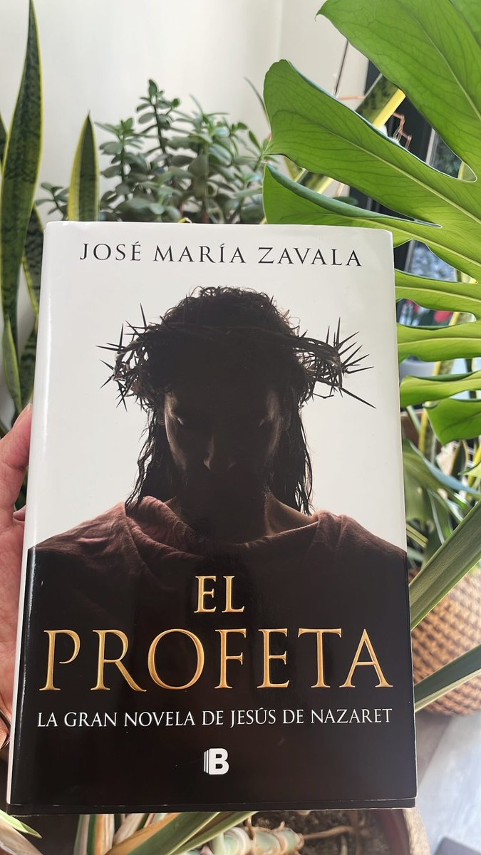 MªJosé Calvimontes ن tweet media