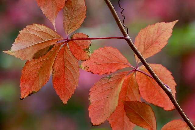 Simon Dees tweet media