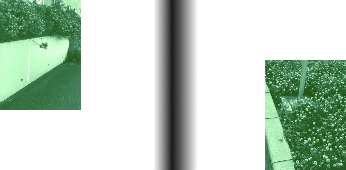 トマトスター tomato star tweet media