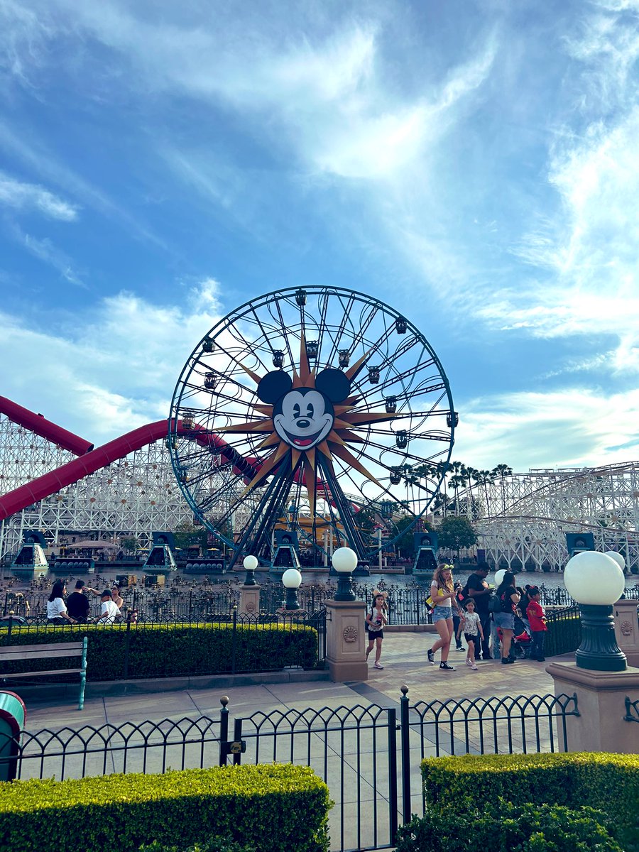 Erin 💙 tweet media