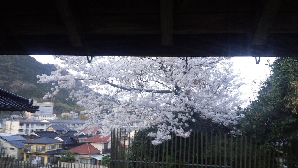 Timothy Takemoto tweet media