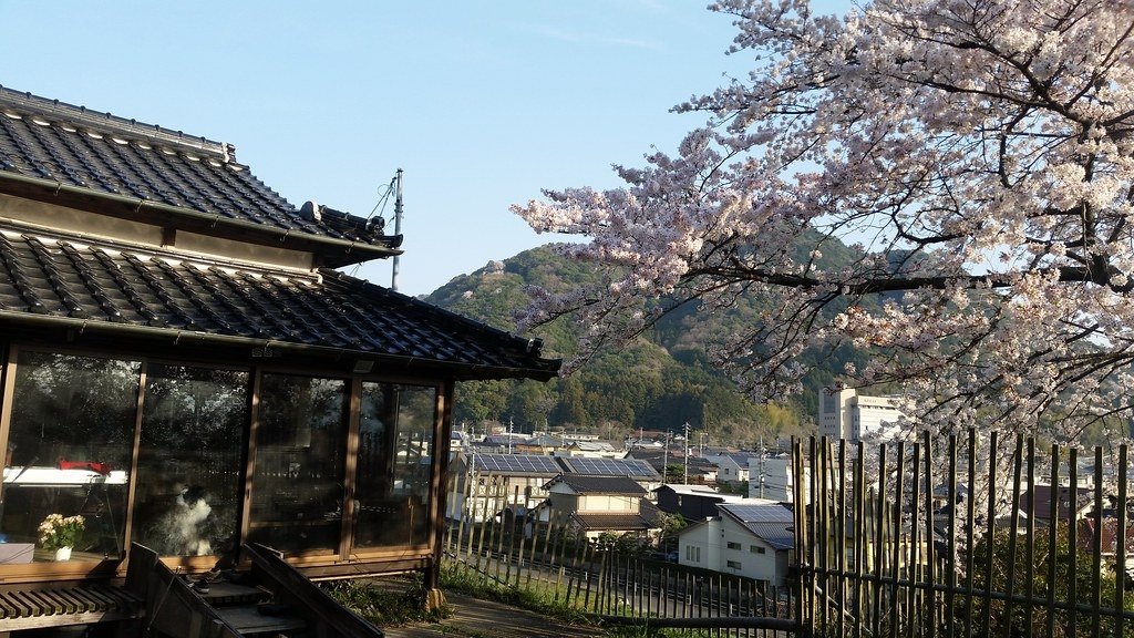 Timothy Takemoto tweet media