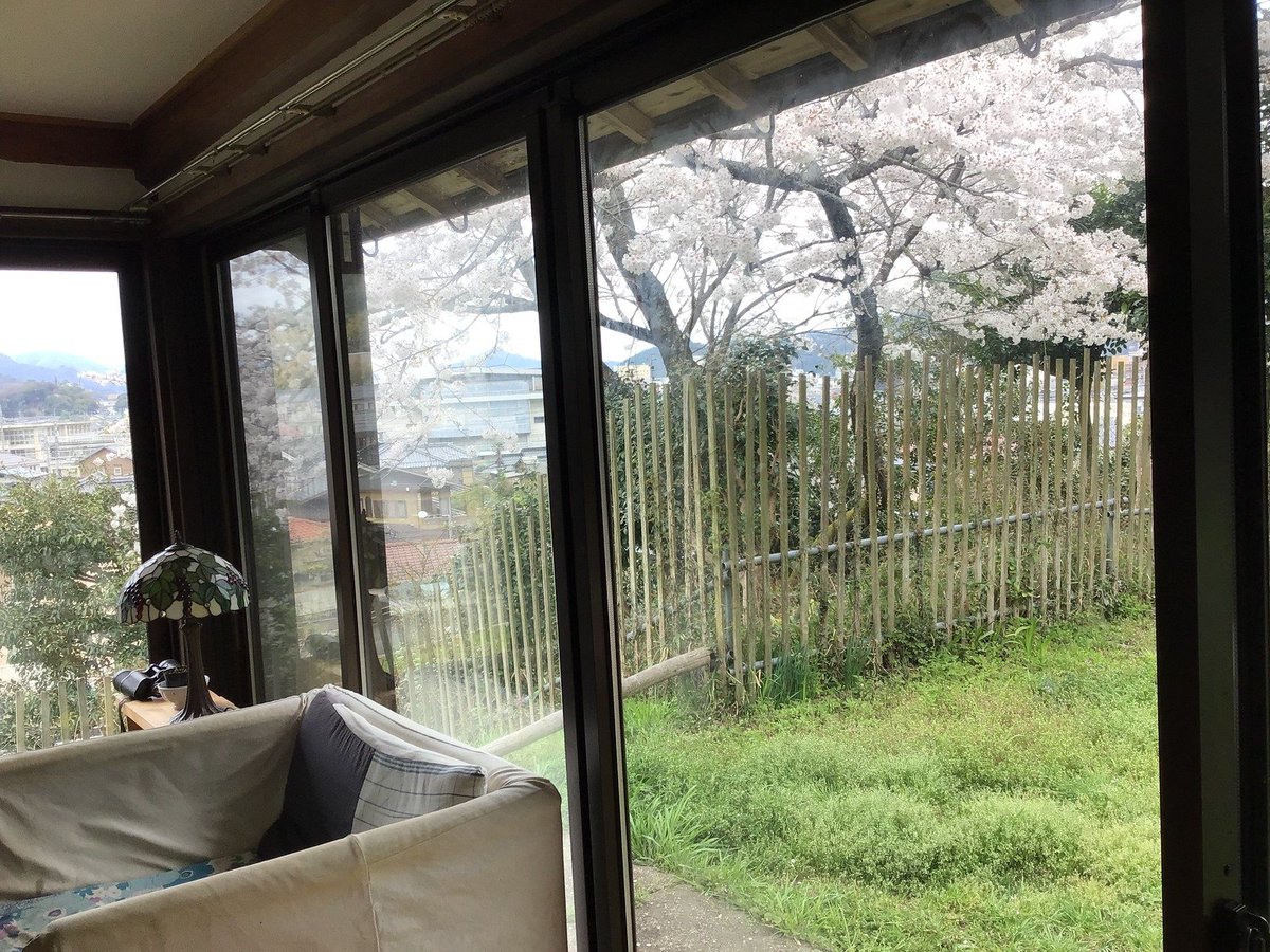 Timothy Takemoto tweet media